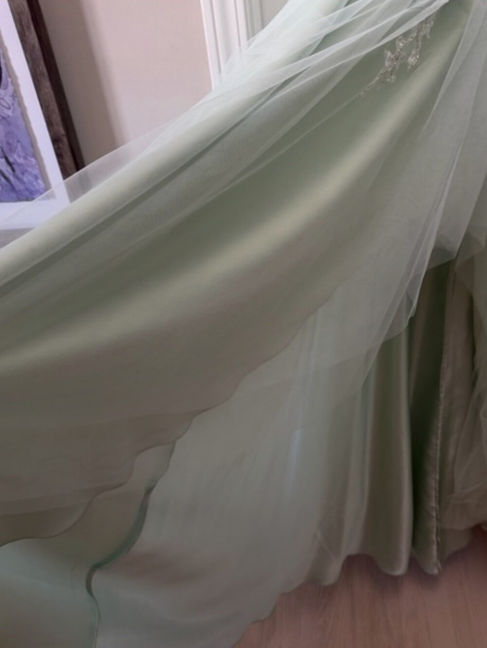 Embellished Sage Mint Lt. Blue Green Tulle Evening Dress - Picture 9 of 16